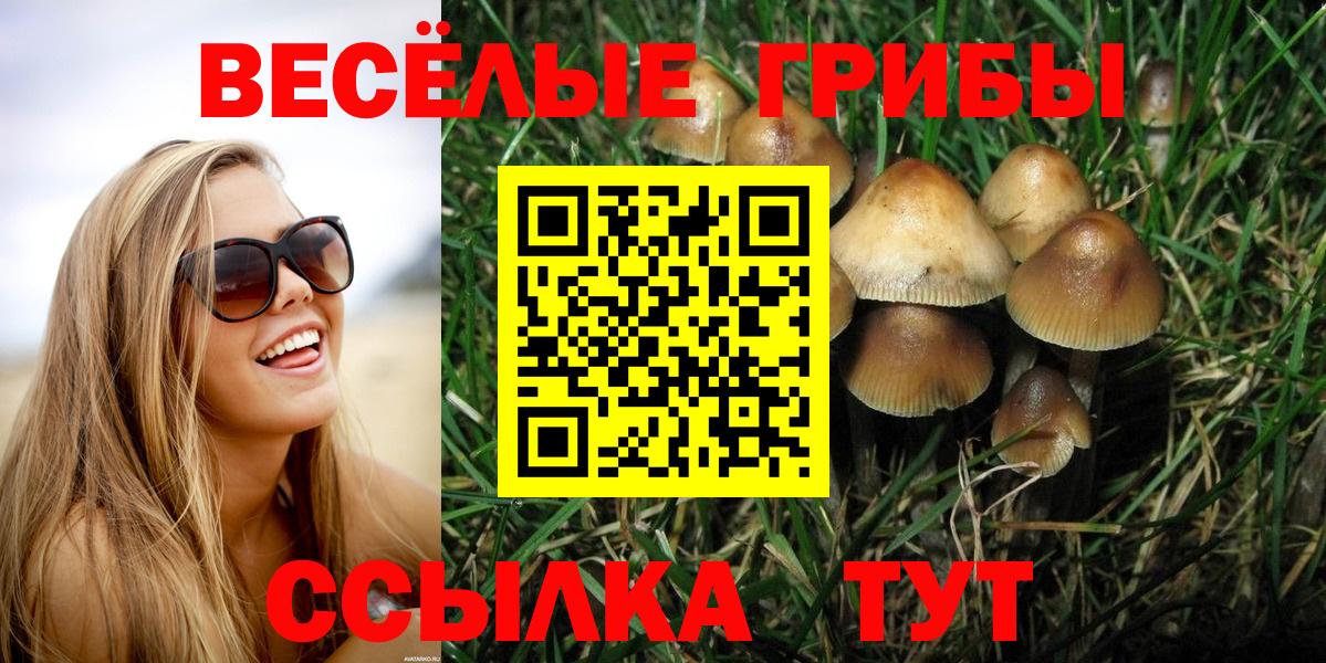 Тельмана  Псилоцибиновые грибы мицелий  Вход с VPN  Галлюциногенные грибы Magic Shrooms 